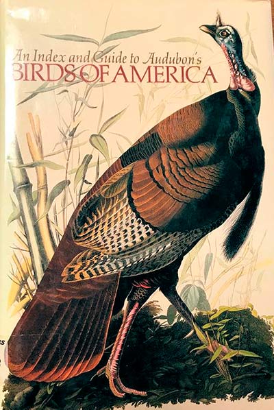 Guía de aves de América