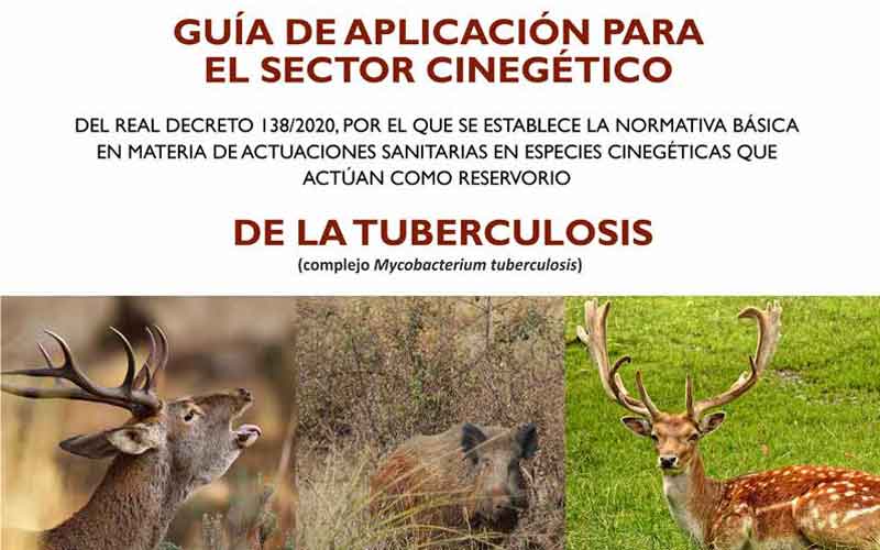 guia-tuberculosis