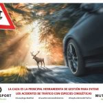 mutuasport-accidentes-carretera