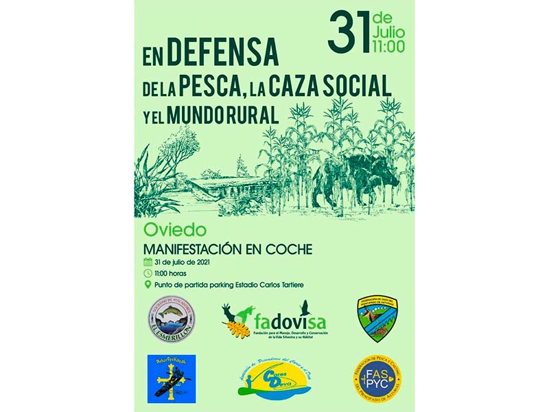 CARTEL MANIFESTACION (1) web