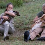 cachorros