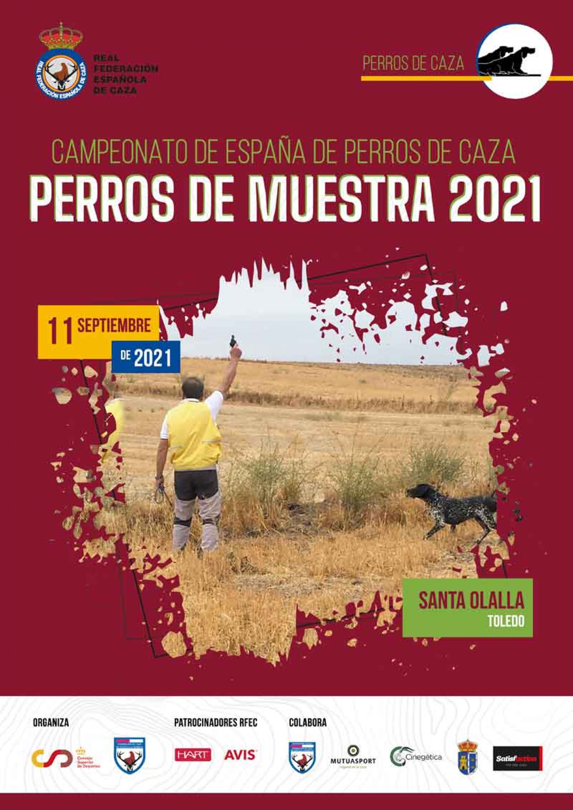Campeonato de España de Perros de Muestra – Perros de Caza 2021, el 11 de septiembre en Santa Olalla