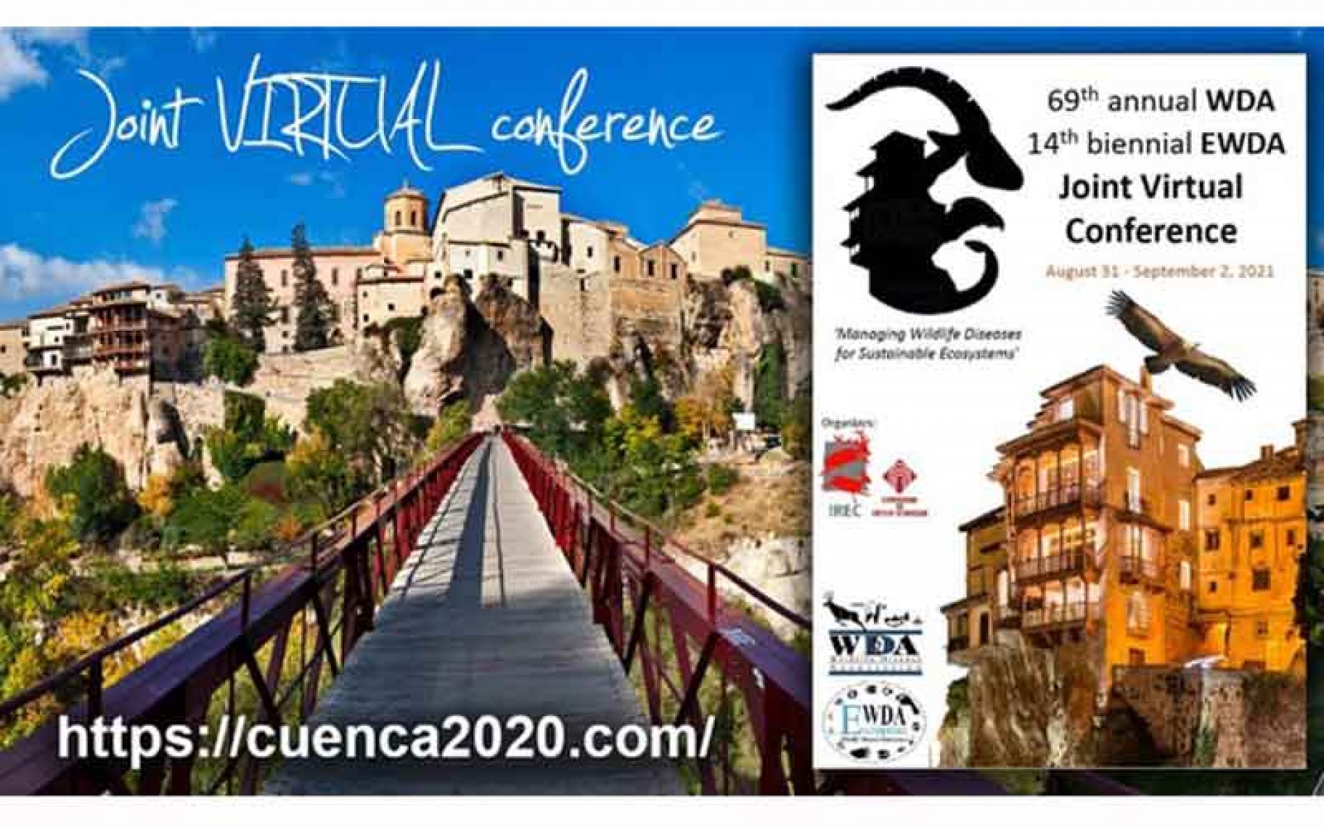 El IREC reúne a casi 600 científicos y profesionales de la salud de la fauna silvestre en el congreso internacional WDA-EWDA