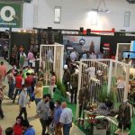 Feria FECIEX 2021 Badajoz