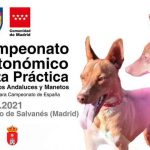 Campeonato podenco