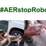 -AER-STOP-robo-de-perros