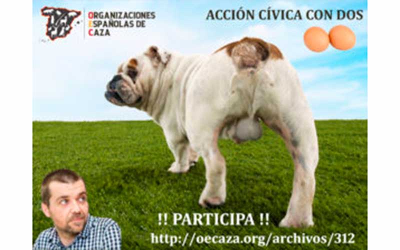 Organizaciones Españolas de Caza