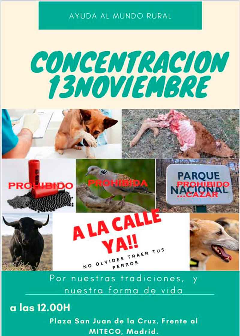 concentracion-OEC 13 noviembre