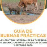 presentación-guia-innotubex