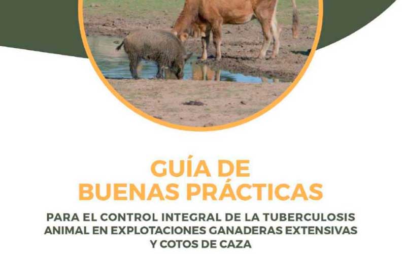 presentación-guia-innotubex