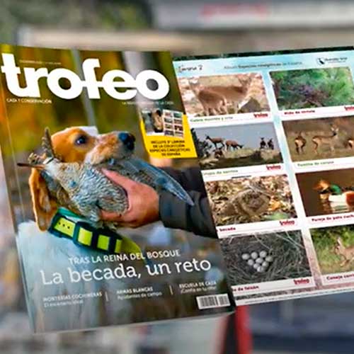 vídeo Trofeo Caza diciembre 2021