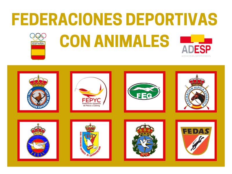 federaciones deportivas con animales