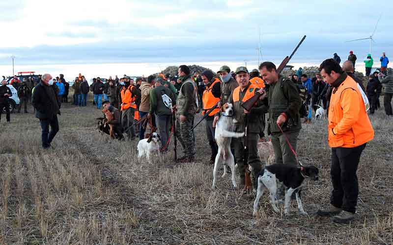 campeonato-caza-menor-con-perro-2021