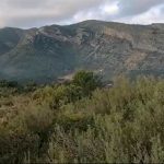 Desert de les Palmes