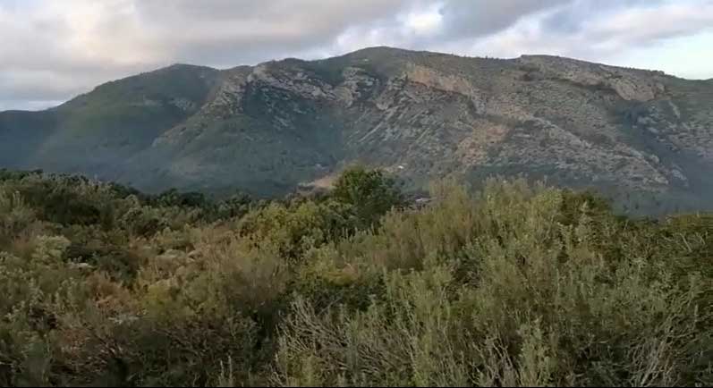 Desert de les Palmes