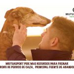 Mutuasport recursos abandono perros de caza