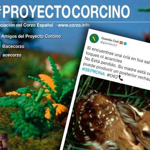 La Guardia Civil lanza recomendaciones para esta primavera que el «Proyecto Corcino» lleva difundiendo desde 2004