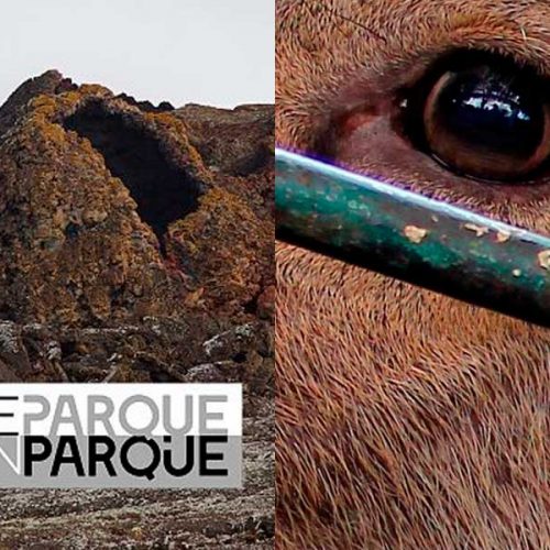 La serie estrella de RTVE y el Miteco sobre la Red de Parques Nacionales de España da una imagen feudal de la caza