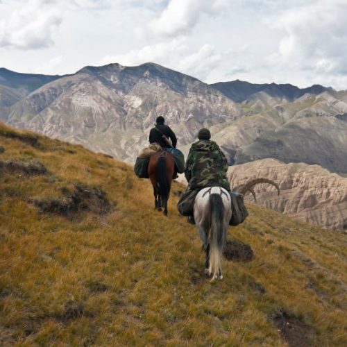 Tras el Ibex de Tien-Shan