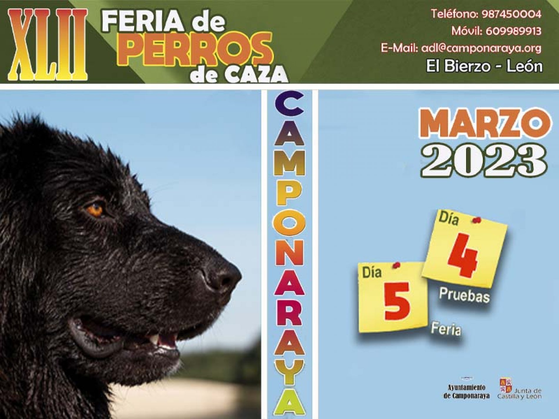 Feria de perros de caza de Camponaraya: 4 y 5 de marzo. Entrada gratis.