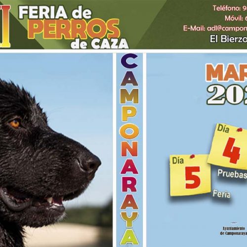 Feria de perros de caza de Camponaraya: 4 y 5 de marzo. Entrada gratis.