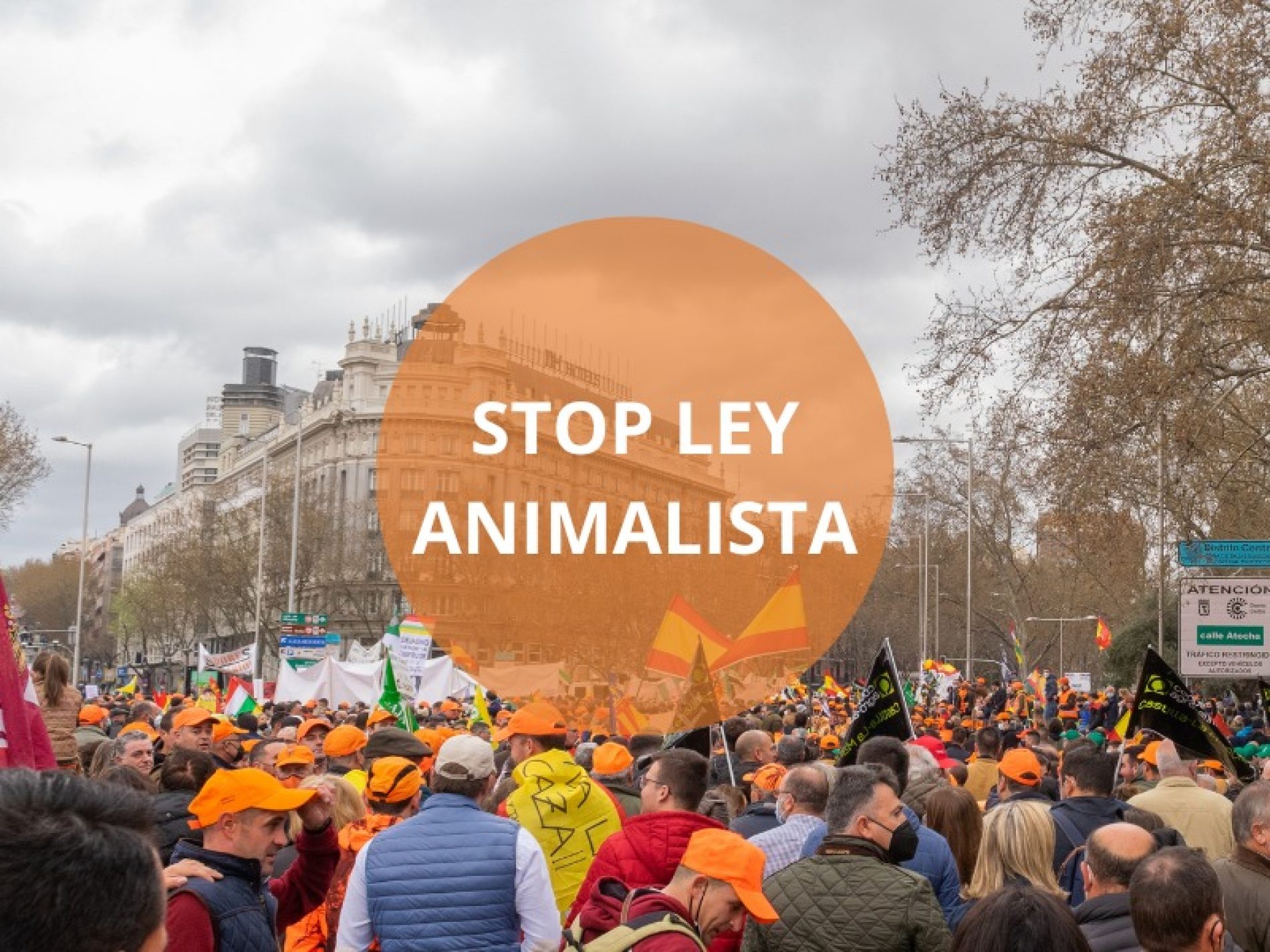Mañana se vota la ley animalista en el Congreso bajo las tensiones entre partidos políticos