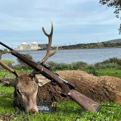 Nuevos rifles rectilíneo HAENEL Modelo NXT en calibre 300 Win.