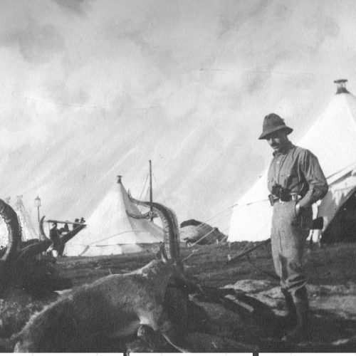 El disparo que salvó una especie