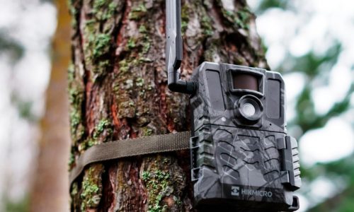 Trail Camera M15: la primera cámara de fototrampeo de HIKMICRO
