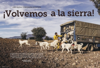 Perros Perros