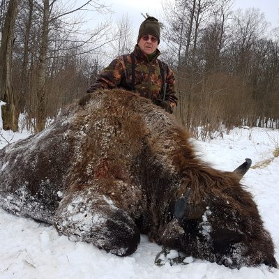 Conseguir el abate fue estar tras ellos en pleno bosque y con una temperatura como se aprecia en la foto, trabajando su rececho de varios días en el interior de los frondosos bosque de Polonia.