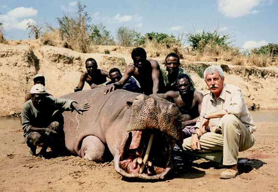 Hipopótamo africano