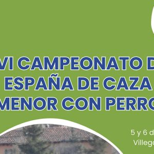 CARTEL CAMPEONATO 2025