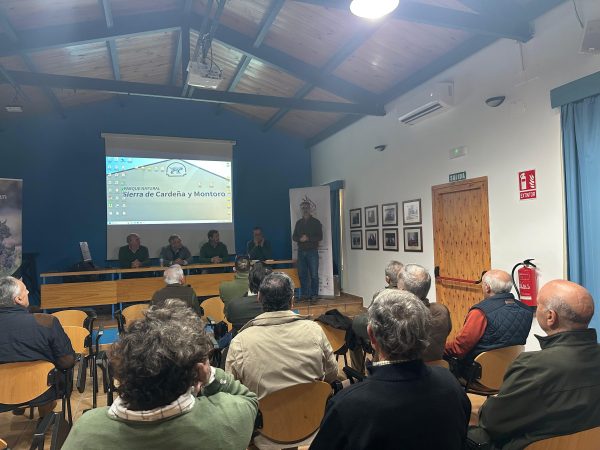 el lince ibérico en trofeo caza y conservación