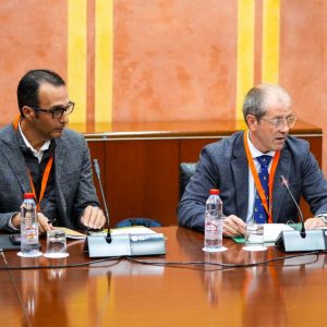 NDP-PRESENTA SUS PROPUESTA PARA LAS CUENTAS ANDALUZAS 2026 (2) (002)