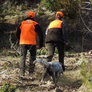 Campeonato de Becadas 2025 en Trofeo Caza y Conservación