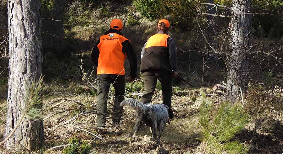 Campeonato de Becadas 2025 en Trofeo Caza y Conservación