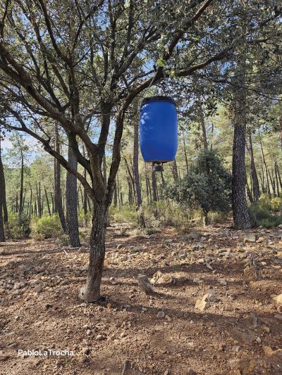 Comedero en alto en trofeo caza y conservación