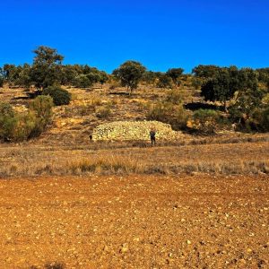 Cronica de caza en el Bonillo en trofeo caza y conservación