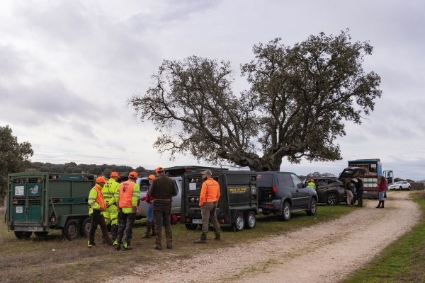 El trabajo de organizar Monterias en trofeo caza y conservación