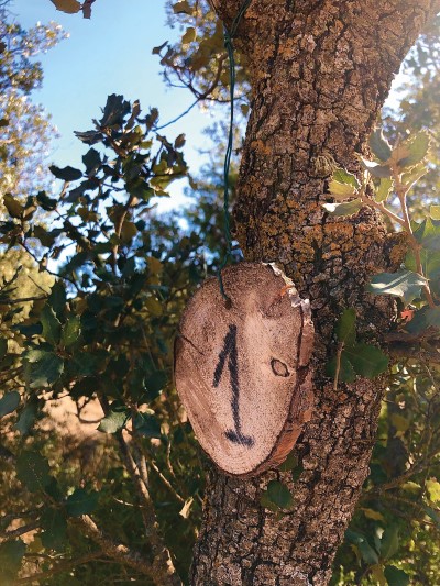 La confianza en las monterias en tofeo cza y conservación