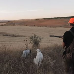 Nuevo capitulo de Ardesa en trofeo caza y conservación