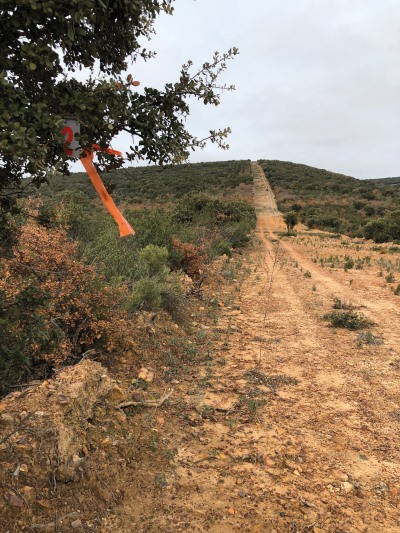 Organizando Monterias en trofe caza y conservación