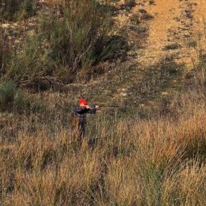 Patricio Simo Día de frío y perdices en trofeo caza y conservación