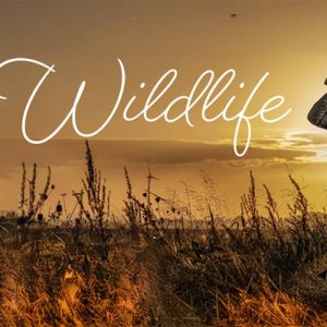Wildlife de Pulsar en Trofeo caza y conservación