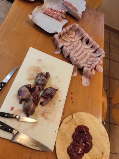 becada en la cocina en trofeo caza y conservación