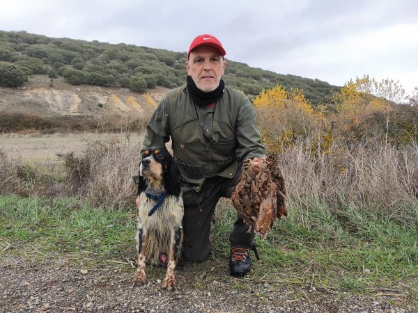 becadas caza menor en trofeo caza y conservación