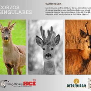 corzos singulares en IFEMA y en trofeo caza y conservación