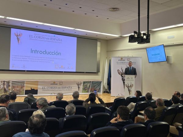 El corzo con fundacion artemisan en trofeop caza y conservación