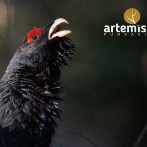 Fundacion artemisan en trofeo caza y conservación
